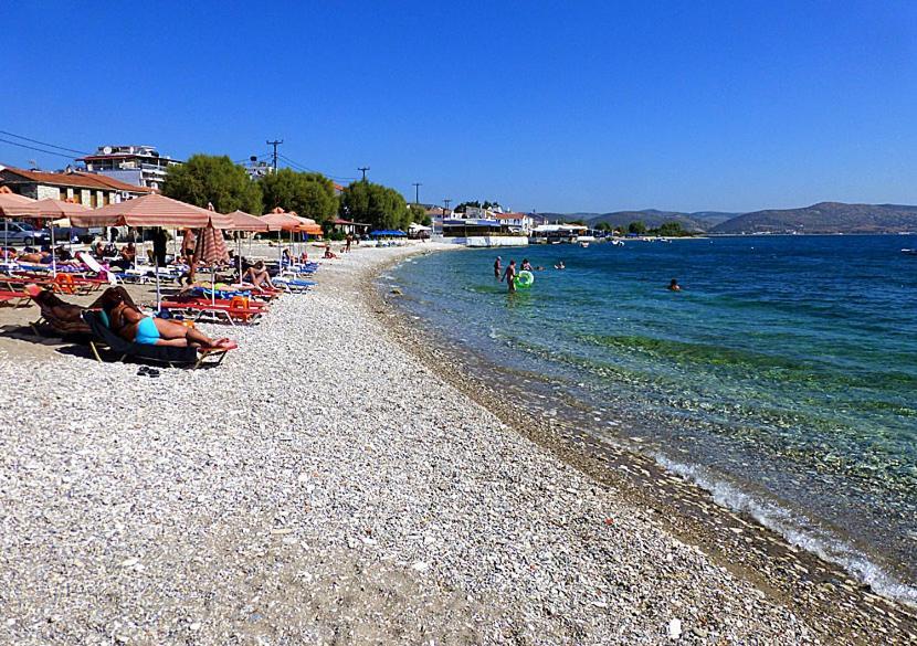 Alpha Apartment, Ireon Samos ภายนอก รูปภาพ